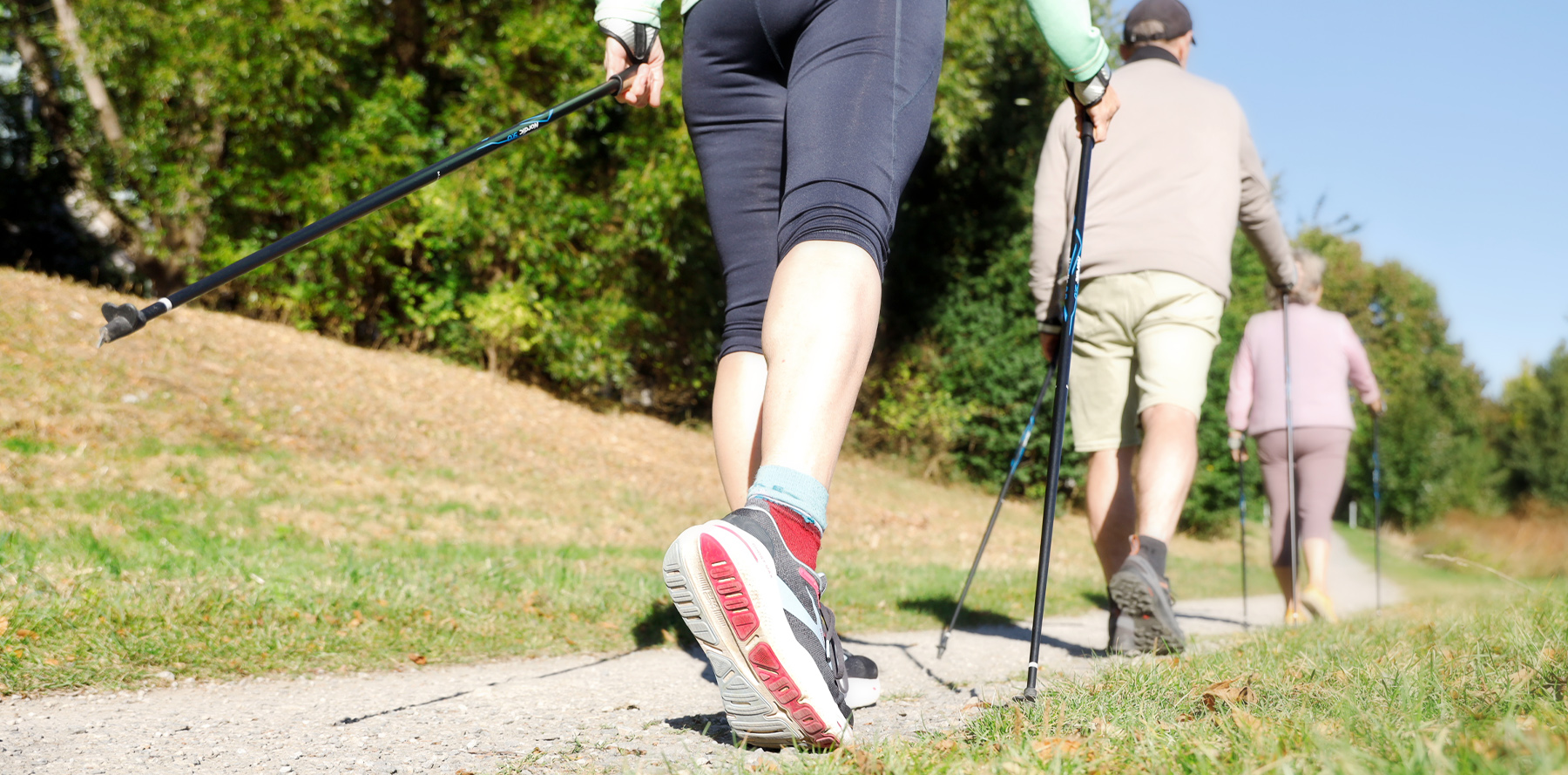 drei Personen von hinten zu sehen beim Walken auf einem Weg, mit Walkingstöcken